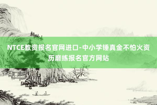 NTCE教资报名官网进口-中小学锤真金不怕火资历磨练报名官方网站