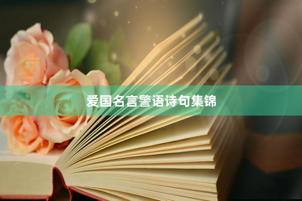 爱国名言警语诗句集锦