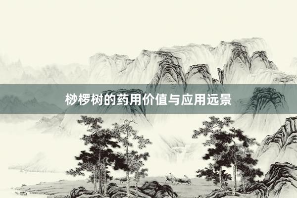 桫椤树的药用价值与应用远景