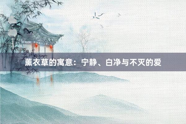 薰衣草的寓意：宁静、白净与不灭的爱