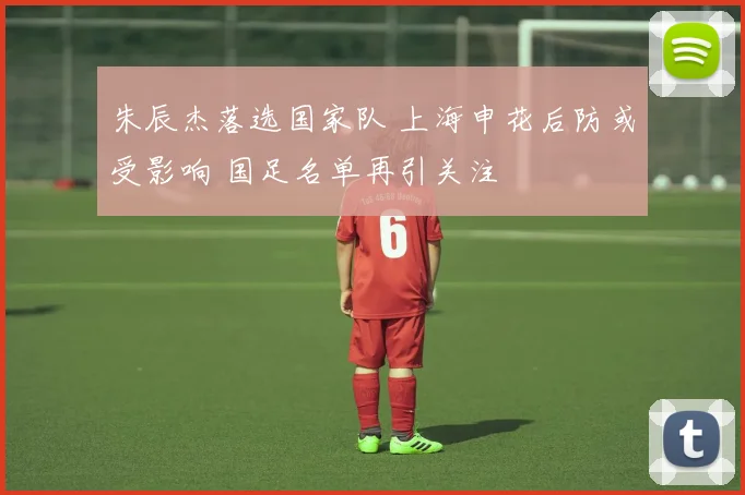 朱辰杰落选国家队 上海申花后防或受影响 国足名单再引关注